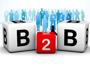 京東B2B電子銷售 為何能在阿里失手處成功？